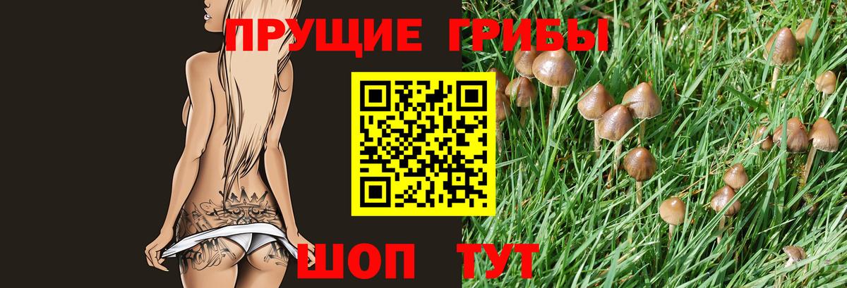 Псилоцибиновые грибы GOLDEN TEACHER Чехов